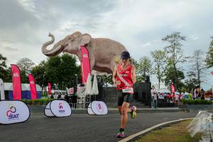 BIB: 
                            <button type="button" onclick="openModal(26528465)" class="btn btn-primary btn-sm float-right btn-popup" data-toggle="modal" data-target=".modal-high-quality">
                        <i class="fas fa-shopping-cart"></i> Add to Cart
                    </button>
                                            <button type="button" onclick="isThisMe(26528465, true)" class="btn btn-success btn-sm float-right btn-popup btn-isme hidden" data-toggle="tooltip" data-placement="bottom" title="นี่คือรูปของคุณใช่ไหม คลิกที่นี่เพื่อเอาเข้าอัลบั้ม">
                        <i class="fas fa-plus"></i> Add to album
                    </button>
                    <button type="button" onclick="isThisMe(26528465, false)" class="btn btn-warning btn-sm float-right btn-popup btn-isnotme hidden">
                        <i class="fas fa-ban"></i> Remove from album
                    </button>